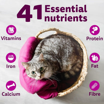 Whiskas Adult (1+ Years) Dry Cat Food, Tuna Flavour, 1.2 kg, Contains 41 Essential Nutrients, Complete & Balanced Nutrition for Adult Cats