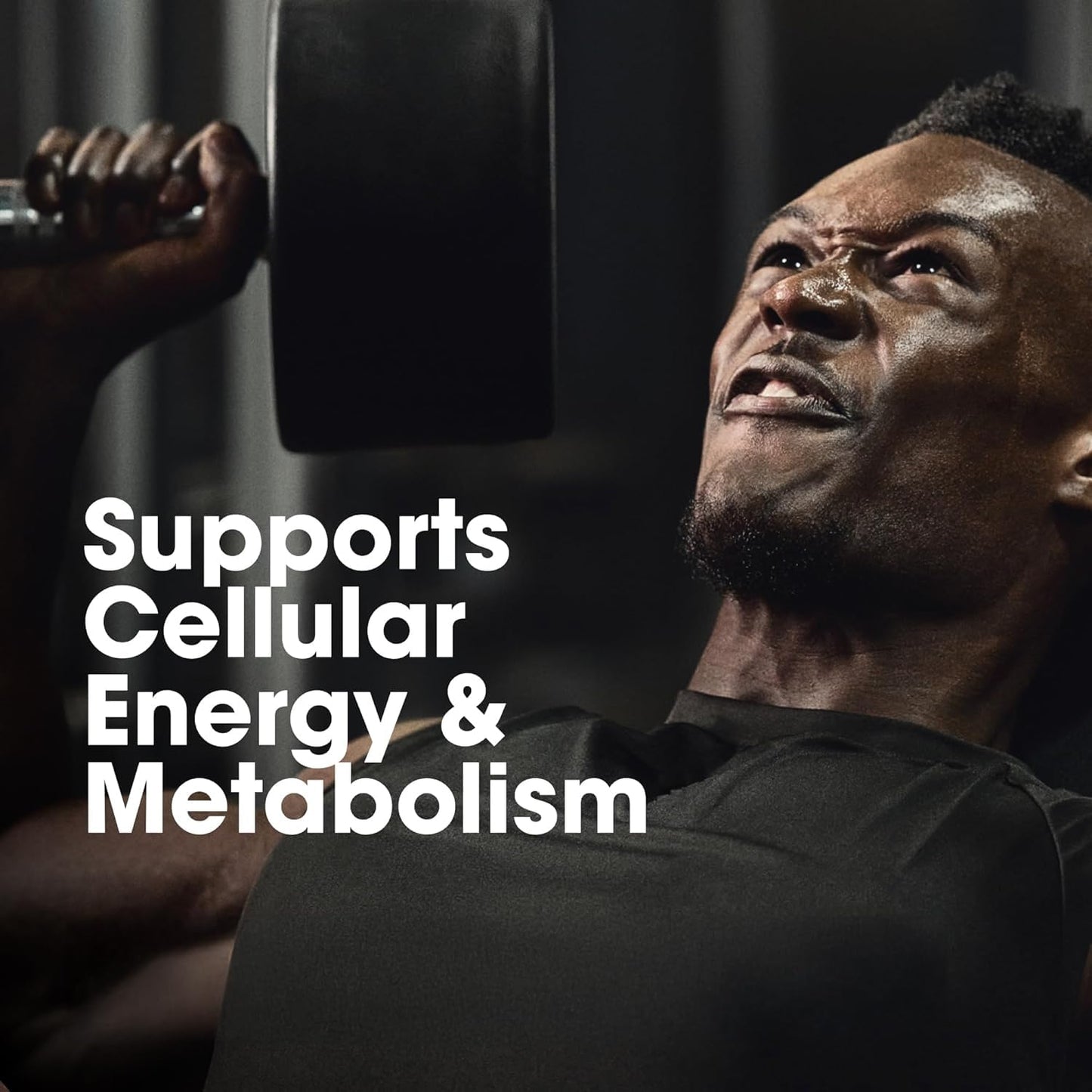 Optimum Nutrition (ON) Multivitamin for MENâ€“ 60 Tablets, 26 Vitamins & Minerals, Amino Acids & Anti-Oxidants (Green Tea Extract, Beta Carotene, Lutein, Lycopene). Vegetarian.