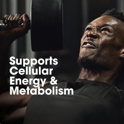 Optimum Nutrition (ON) Multivitamin for MENâ€“ 60 Tablets, 26 Vitamins & Minerals, Amino Acids & Anti-Oxidants (Green Tea Extract, Beta Carotene, Lutein, Lycopene). Vegetarian.