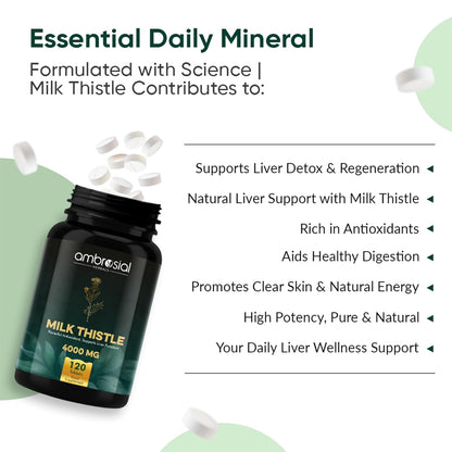 Ambrosial Milk Thistle 4000 mg | High Strength Liver Support Antioxidant | Liver Detox Supplement (Pack of 1-120 Tablets)