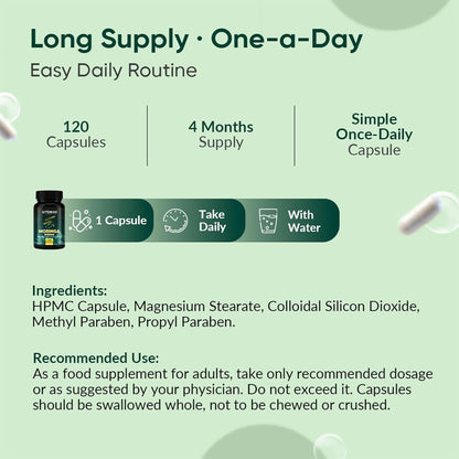 Ambrosial Moringa Capsules 2000mg | Moringa Leaf Extract | Plant-Based Herbal Supplement | Natural Wellness Support | 120 Vegan Capsules