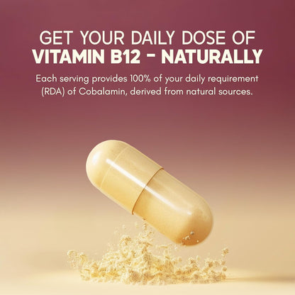 Rasayanam Plant-Based Vitamin B12 | 100% Vegan Vitamin B12 | Enriched with 7 Superfoods like Moringa, Amla & More | Supports Energy, Nerve Health & Brain Function | 60 Veg Capsules
