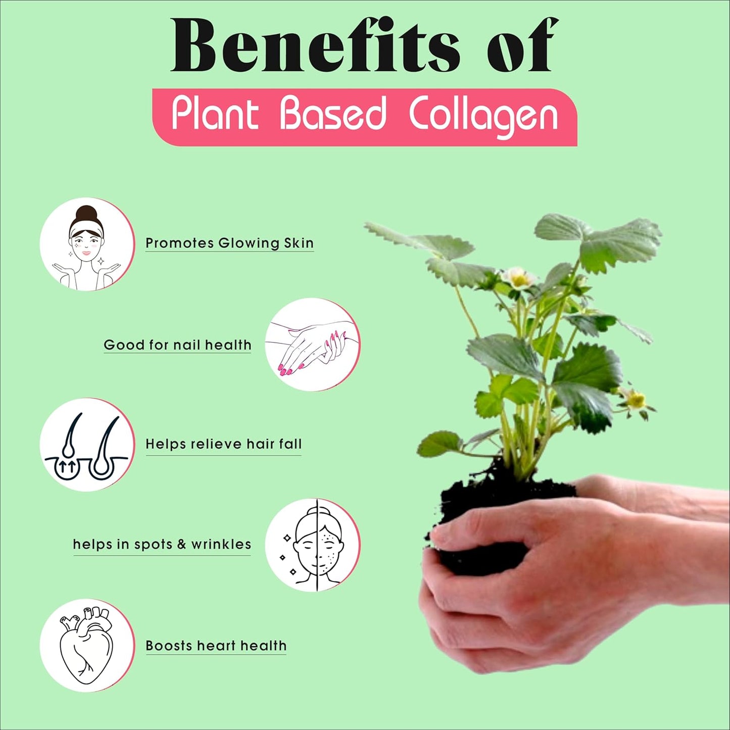 Plant Based Collagen- Anti-Aging Supplements For Women,Natural,Youthful Glow,Wrinkle-Free Skin,Promotes Skin Regeneration,Improves Skin Elasticity,Silica&Hyaluronic Acid-60 Capsules