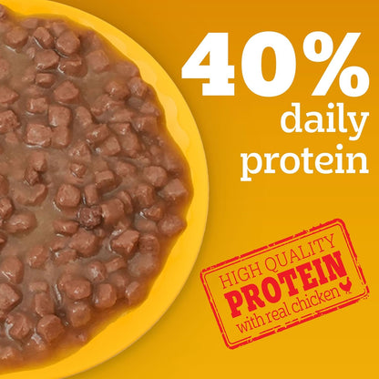 Pedigree Puppy Wet Dog Food, Chicken Chunks in Gravy, 70 g (Pack of 15), Complete & Balanced Meal for Puppies