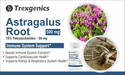 Trexgenics ASTRAGALUS 10% Polysaccharides 500 mg Immunity VEGAN & NON-GMO (60 Veg. Capsules) (Pack of 1)