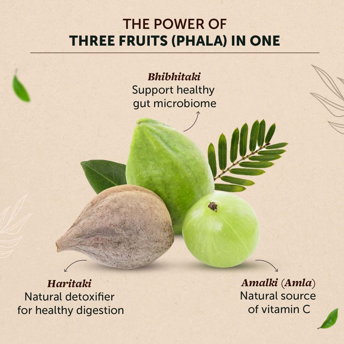 Neuherbs Organic Triphala Powder - 100 GM | Triphala Churna For Gut, Immune & Intestinal Health | Helps Relieve Constipation | Herbal Supplement | Quick Acidity & Gas Relief | Certified Organic