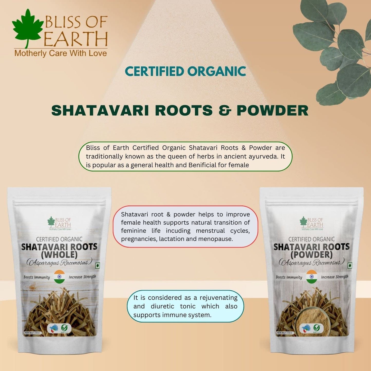 Bliss of Earth Shatavari Root Powder Organic Asparagus Racemosus Natural & Non GMO Good for Immunity & Digestion 100gm