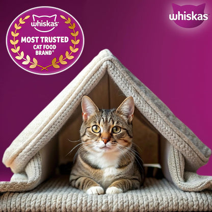 Whiskas Adult (1+ Years) Dry Cat Food, Tuna Flavour, 1.2 kg, Contains 41 Essential Nutrients, Complete & Balanced Nutrition for Adult Cats