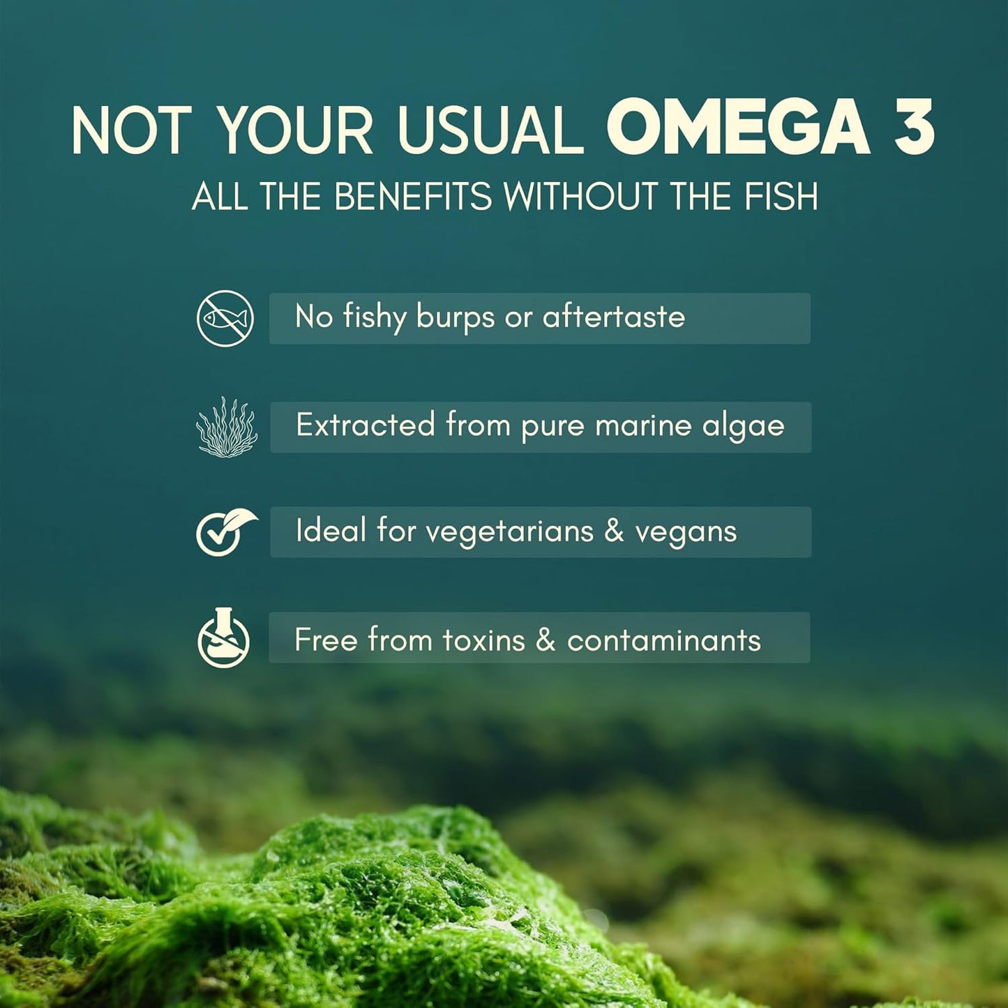 Rasayanam Plant Based Omega-3 Capsules, 1600mg | Gelatin Free, No Burps, No Fish Oil, Pure Algae | 450mg EPA & 150mg DHA, Better Joint & Heart Health | Vegetarian Omega 3 Supplement - 60 Capsules