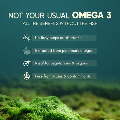 Rasayanam Plant Based Omega-3 Capsules, 1600mg | Gelatin Free, No Burps, No Fish Oil, Pure Algae | 450mg EPA & 150mg DHA, Better Joint & Heart Health | Vegetarian Omega 3 Supplement - 60 Capsules