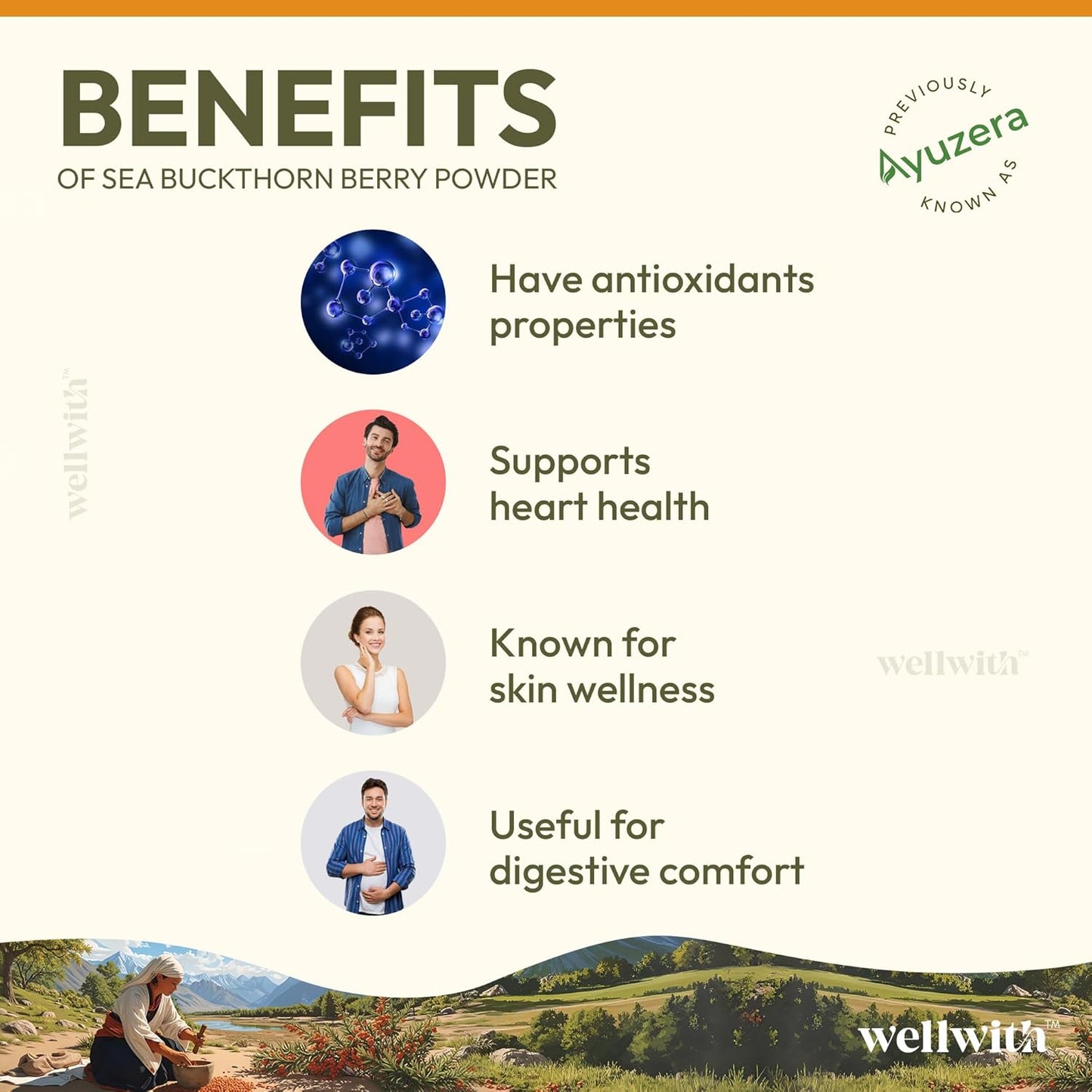 Wellwith Himalayan Sea Buckthorn Dry Berry Kkin Powder, 100g | Rich in Omega 3, 6, 7, 9 | Collagen, Fiber, Omegas, Vitamin C, Vitamin E | Dry Sea Buckthorn Berry Powder (100, Grams)