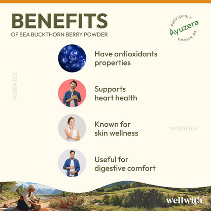 Wellwith by Ayuzera Sea buckthorn Berry Skin Powder 100g | Rich in Vitamin C | No oil | Edible | Fiber, Omegas | Dry Seabuckthorn Himalayan Berry Powder | Pack of 1