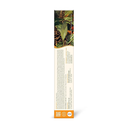 Wellwith by Ayuzera DentoWin Ayurvedic Herbal Gum Care Toothpaste with Himalayan Sea Buckthorn Berry, Tulsi & Neem, Teeth Whitening - Natural Formula, No Fluoride(100gm, Pack of 1)