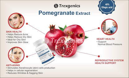 Trexgenics POMEGRANATE (Bioactive 40% Ellagic acid) Seed Extract 500 mg Antioxidant, Skin Care, Blood circulation, Cardiovascular Health Support (60 Veg capsules)
