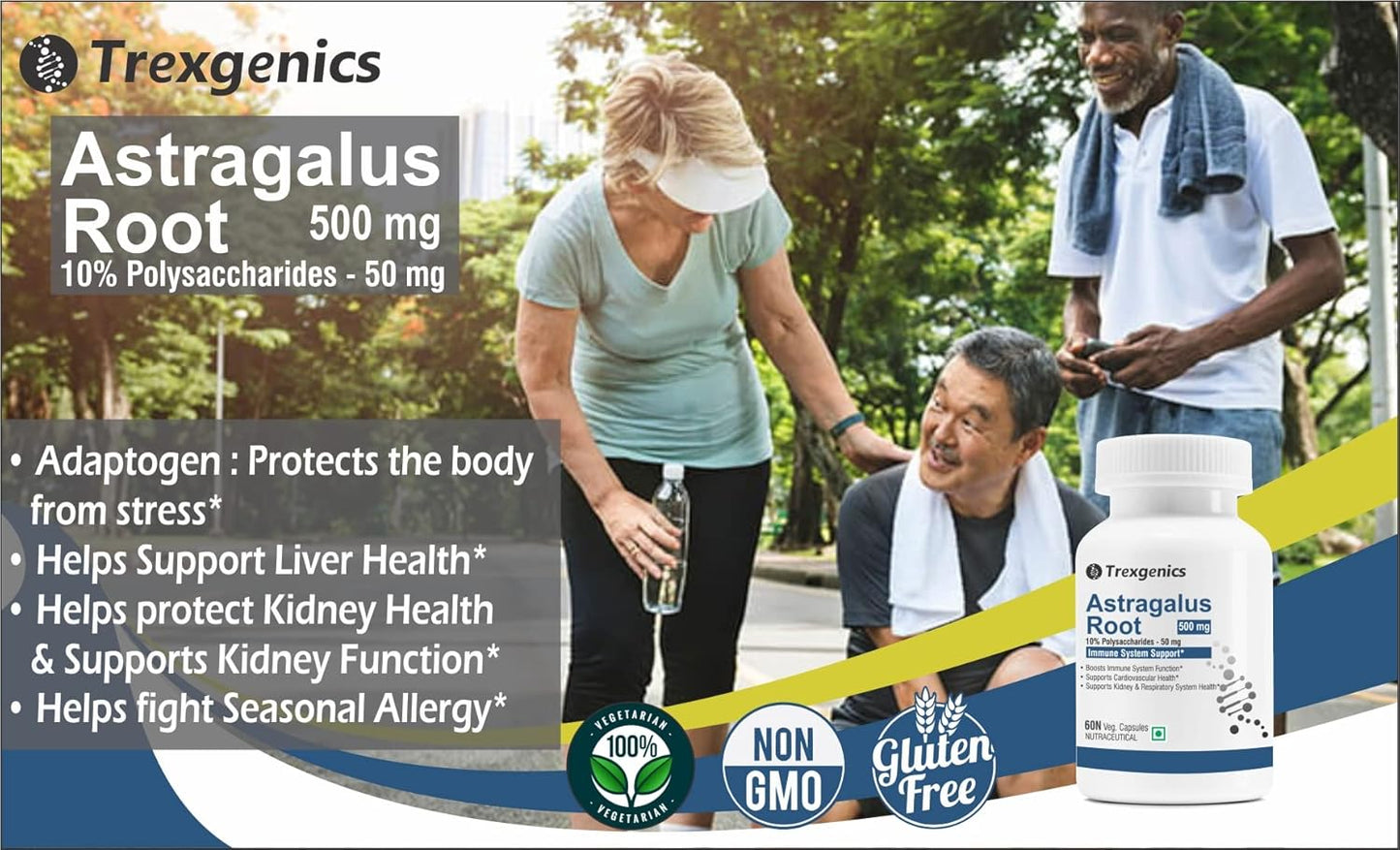 Trexgenics ASTRAGALUS 10% Polysaccharides 500 mg Immunity VEGAN & NON-GMO (60 Veg. Capsules) (Pack of 1)