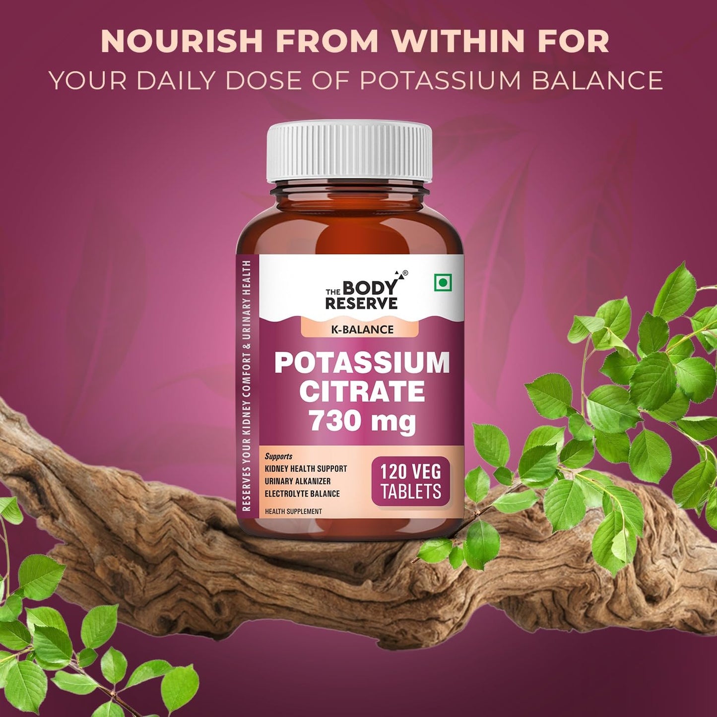 The Body Reserve Potassium Citrate Tablets-120, Potassium supplements for healthy kidney function pH Balance Boosts Electrolyte Levels for Hydration & wellness