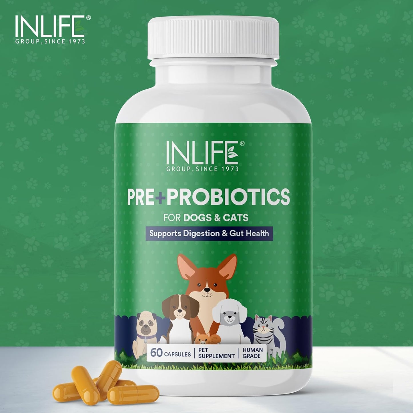INLIFE Prebiotics and Probiotics for Dogs Cats and Pets | Supplement for Gut Health | Lactobacillus Bacteria for Digestive Health Immunity Booster - 60 Capsules
