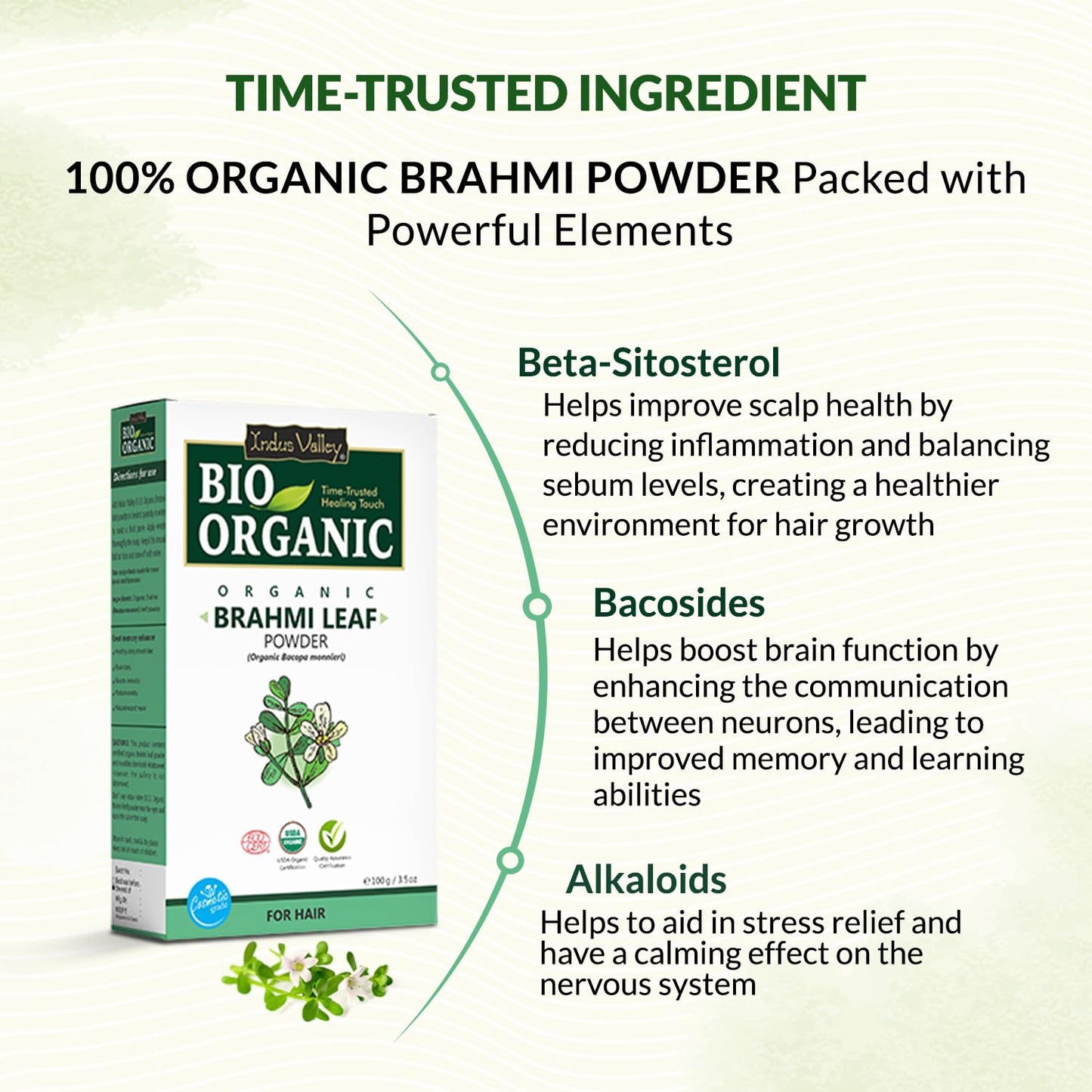 INDUS VALLEY Brahmi Leaf Powder 100g | Natural Ayurvedic Herb for Brain Health, Memory, Focus & Hair Care | Pure Bacopa Monnieri Supplement