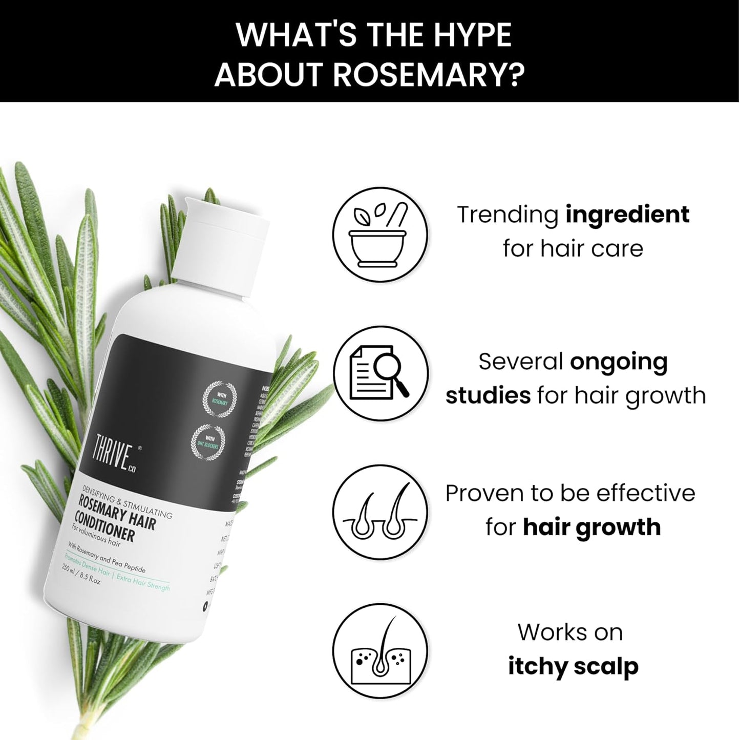 ThriveCo Rosemary Hair Conditioner | Helps Add Volume & Strengthen | With Pea Peptide & Caffeine | Densifying Formula for Fuller-Looking Hair | Paraben & Sulphate Free | For Men & Women | 250 ml
