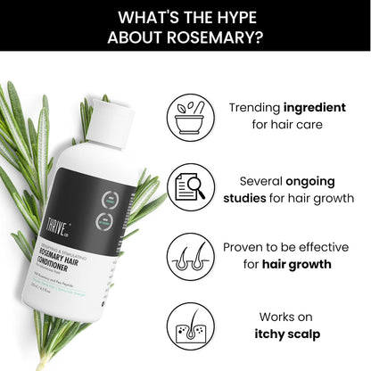 ThriveCo Rosemary Hair Conditioner | Helps Add Volume & Strengthen | With Pea Peptide & Caffeine | Densifying Formula for Fuller-Looking Hair | Paraben & Sulphate Free | For Men & Women | 250 ml