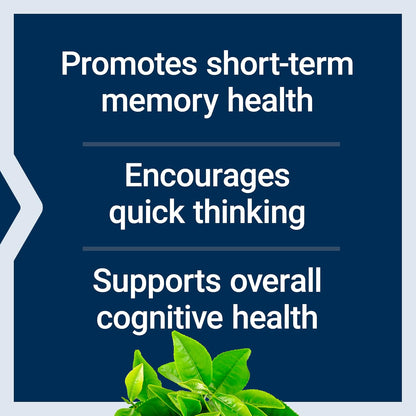 Life Extension Neuro-Mag Magnesium L-Threonate, Memory Health, Quick Thinking, Cognitive Health Support, Vegetarian, Non-GMO, 90 Vegetarian Capsules (144 mg from 2000 mg Magtein magnesium L-threonate