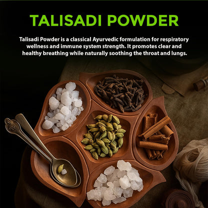 Organic Talisadi Powder Churna | Suitable For all Ages (Pack of 1, 100g)
