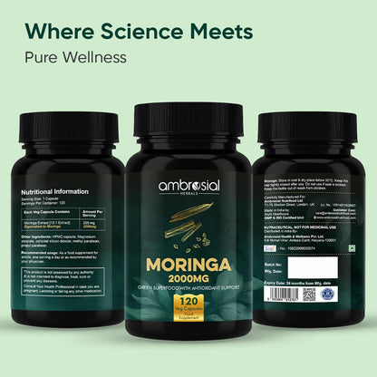 Ambrosial Moringa Capsules 2000mg | Moringa Leaf Extract | Plant-Based Herbal Supplement | Natural Wellness Support | 120 Vegan Capsules