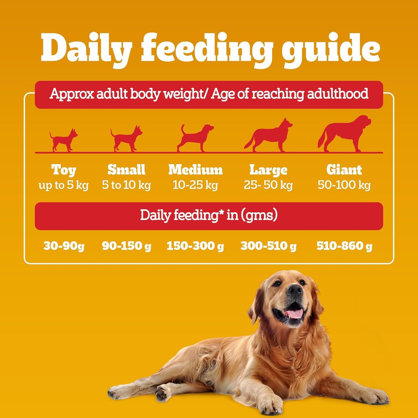 Pedigree Adult Dry Dog Food, Chicken & Vegetables, 1 kg, Contains 37 Essential Nutrients, 100% Complete & Balanced Food for Adult Dogs