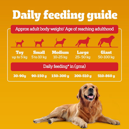 Pedigree Adult Dry Dog Food, Chicken & Vegetables, 1.2 kg, Contains 37 Essential Nutrients, 100% Complete & Balanced Food for Adult Dogs