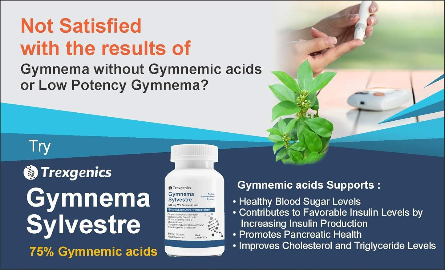 Trexgenics GYMNEMA (Bioactive 75% gymnemic acids) 500mg Sylvestre Glycemic/Sugar, Pancreatic Health Support (60 Vcaps) (1)