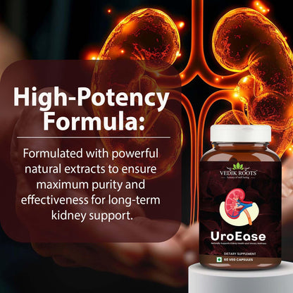 UroEase for Kidney & Uric Acid Support | Ayurvedic Supplement for Urinary Tract & Detox | Herbal Kidney Cleanse | 60 Veg Capsules