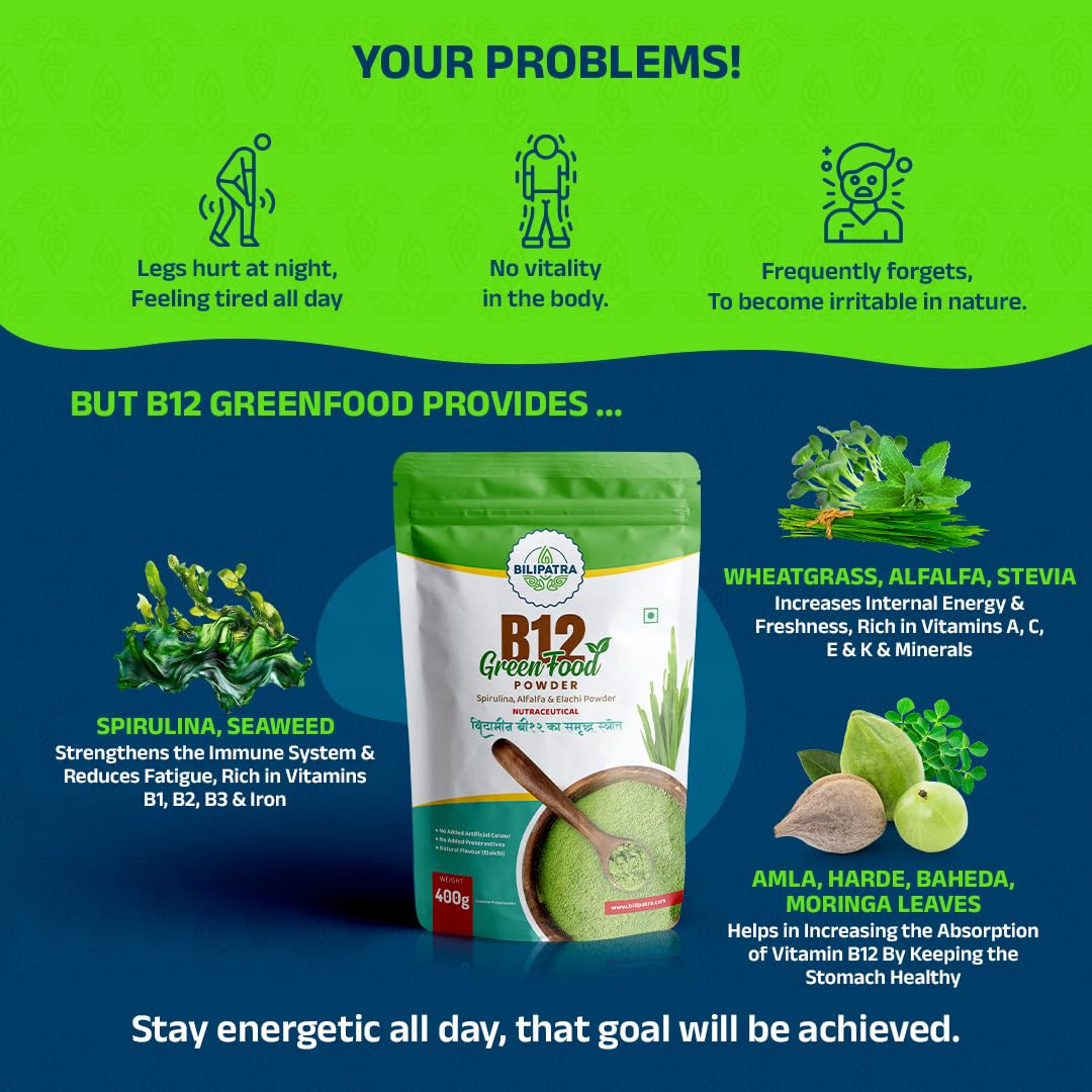 B12 Green Food Powder, 400g | Plant Based Vitamin B12 Supplement (B12GreenFood Powder) | Vitamin B1, B2, B3, B6, B9,C & A | Boost Energy Level, Good For Digestion & Stress, For Men & Women
