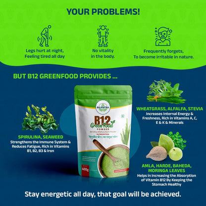 B12 Green Food Powder, 400g | Plant Based Vitamin B12 Supplement (B12GreenFood Powder) | Vitamin B1, B2, B3, B6, B9,C & A | Boost Energy Level, Good For Digestion & Stress, For Men & Women