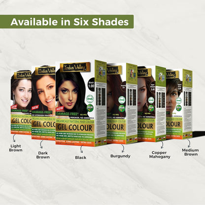 INDUS VALLEY Damage Free Natural Gel Hair Colour for Women Ammonia & PPD Free Organic Hair Colour with 100% Grey Coverage, Long Lasting Conditioning Hair Color Dark Brown 3.00-220 ml