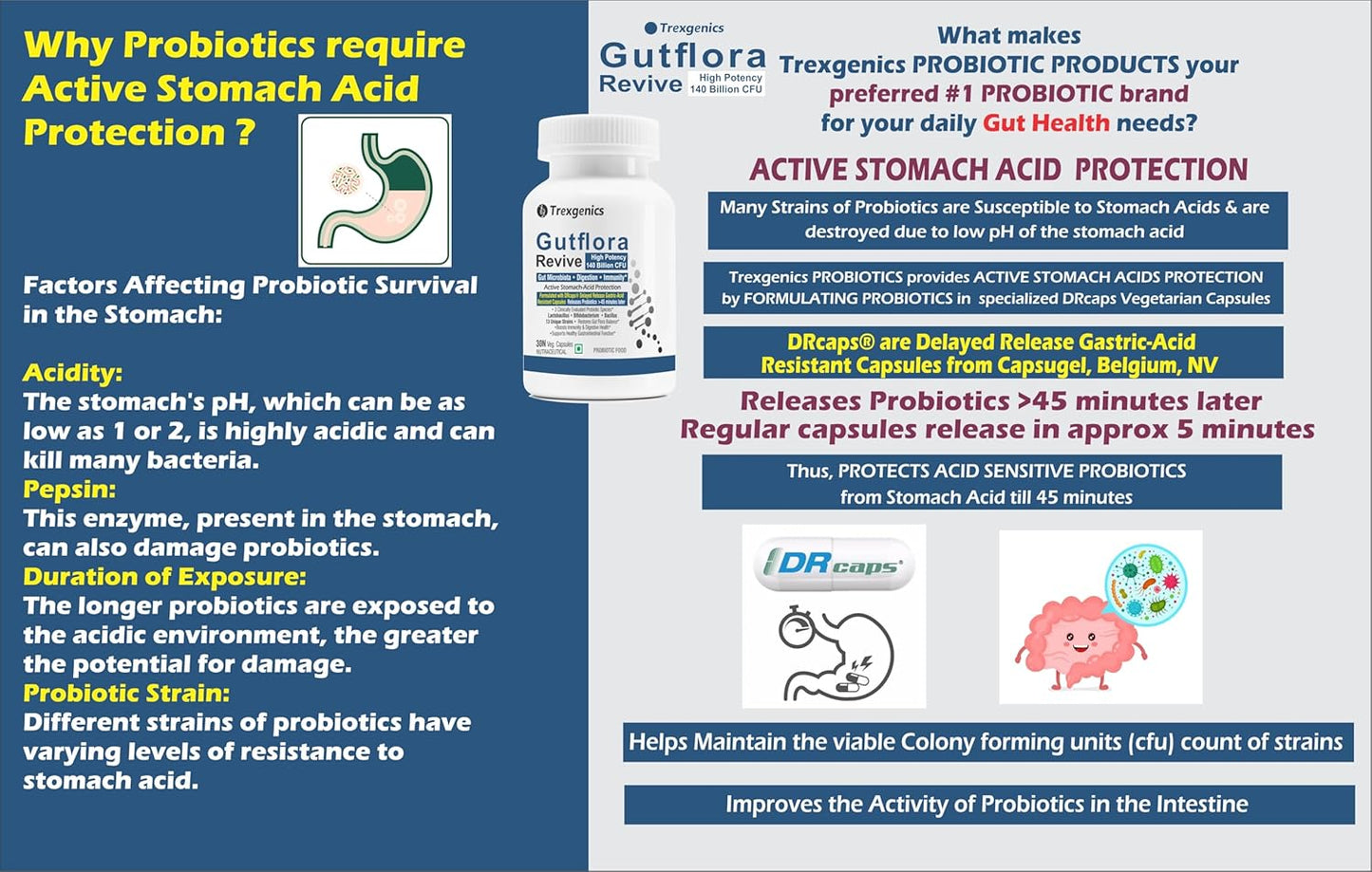 Trexgenics GUTFLORA-REVIVE Probiotics 140 Billion CFU/Delayee release stomach acid protection capsules, Gut Microbiota, Digestive Health & Immunity (30 Veg Capsules)