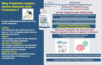 Trexgenics GUTFLORA-REVIVE Probiotics 140 Billion CFU/Delayee release stomach acid protection capsules, Gut Microbiota, Digestive Health & Immunity (30 Veg Capsules)