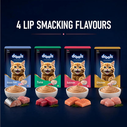 Drools Adult Cat Wet Mousse 80g Pack of 5, 400g | Ocean Fish Flavour | Rich in Protein, Hydrating & Easy to Digest | No Artificial Flavours | with Essential Vitamins & Antioxidants