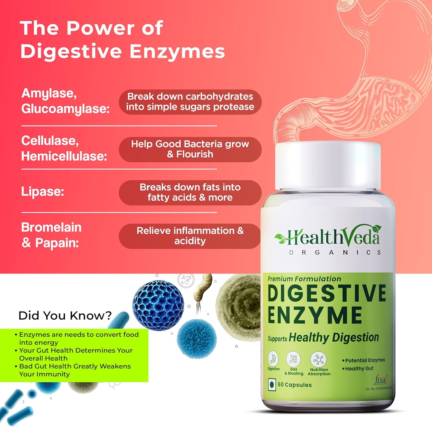 Health Veda Organics Digestive Enzyme Capsules | For Better Digestive Function, Healthy Gut, & Health Management | 60 Veg Capsules for both Men & Womenâ€¦