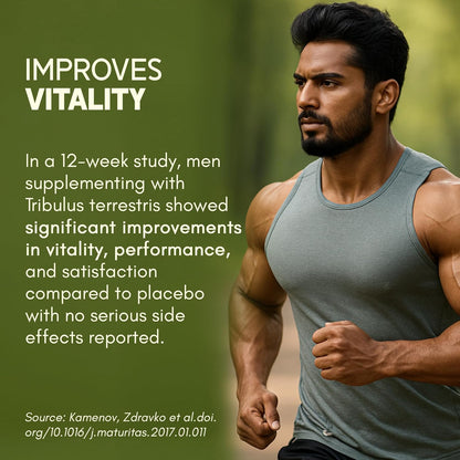 Rasayanam Gokshura Tablets 1000mg Gokhru per Serving, Highest Saponins 60%, Tribulus Terrestris for Men & Women | Improves Energy, Muscle Strength, Stamina & Supports Recovery - 60 Tablets