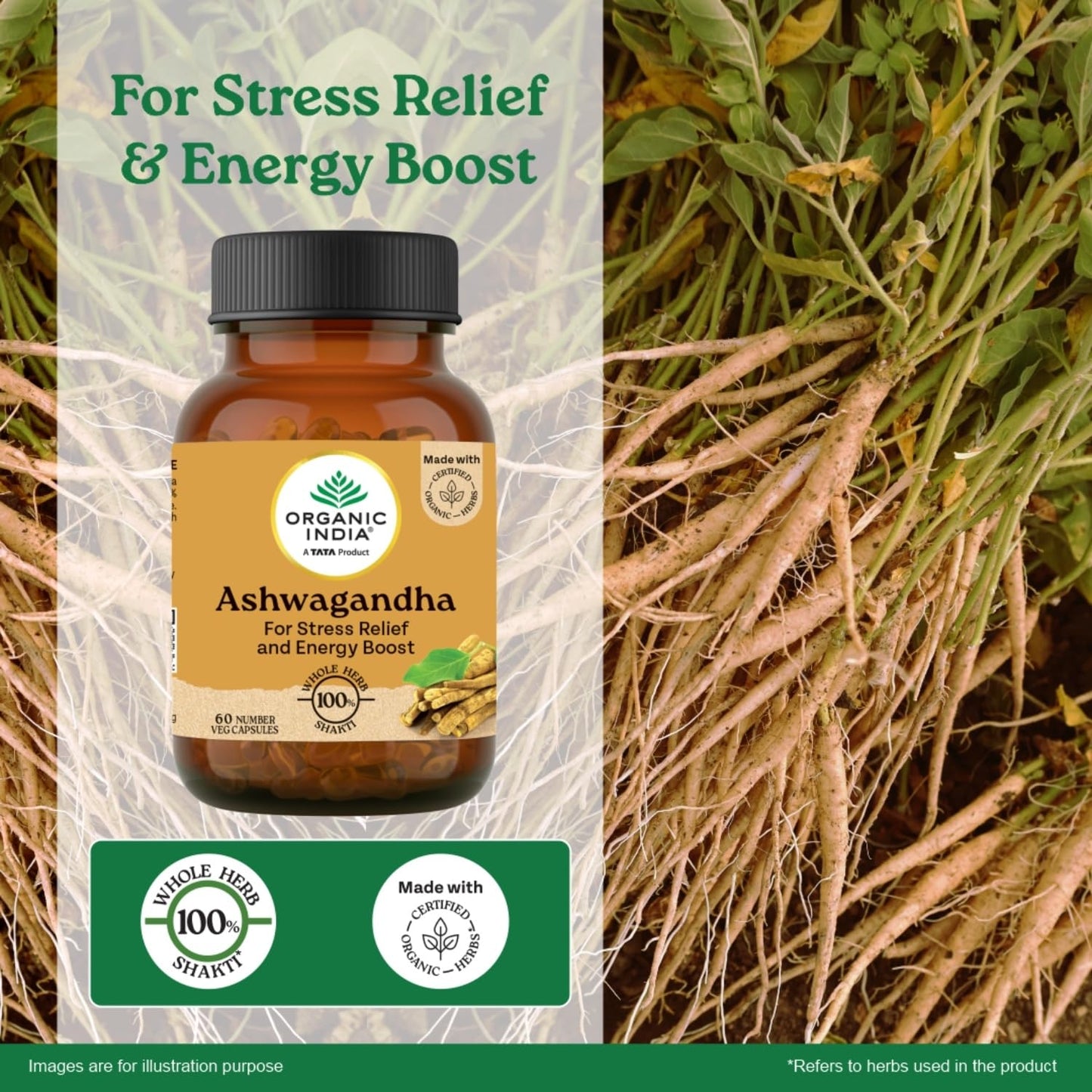 A TATA Product - Organic India Pure Ashwagandha Root Capsules - 60 Veg Caps (400mg), For Vitality & Relieves Stress, Naturally Boosts Energy & Stamina, Improves Immune System, GMP & NPOP Certified