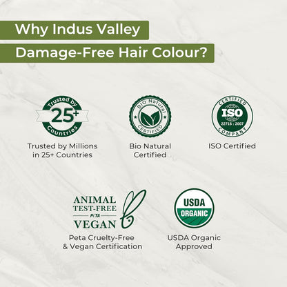 INDUS VALLEY Damage Free Natural Gel Hair Colour for Women | Ammonia & PPD Free Organic Hair Colour with 100% Grey Coverage, Long Lasting Hair Color Trial Pack (Black, 65 ml)