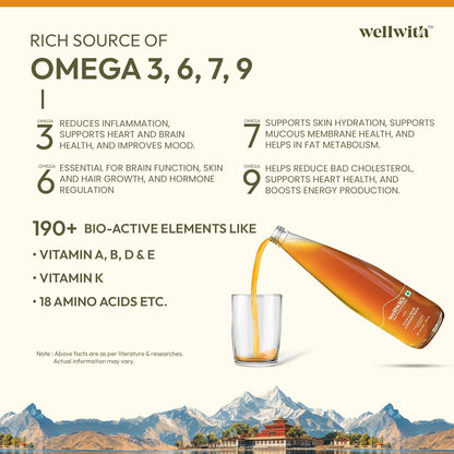 Wellwith by Ayuzera Natural Himalayan Sea Buckthorn Pulp 300ml | Cold Pressed Nutrient Rich Juice | Loaded with Vitamin C, Omega 3 6 7 9 & Antioxidants | For Skin, Immunity & Digestive Health