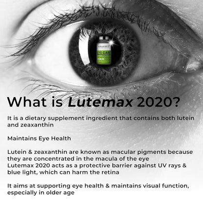 HEALTH VEDA ORGANICS PRIVATE LIMITED Plant Based Eye Care with Lutemax 2020 I 60 Veg Tablets I Protects from Blue Light & Improves Vision I For both for Men & Women
