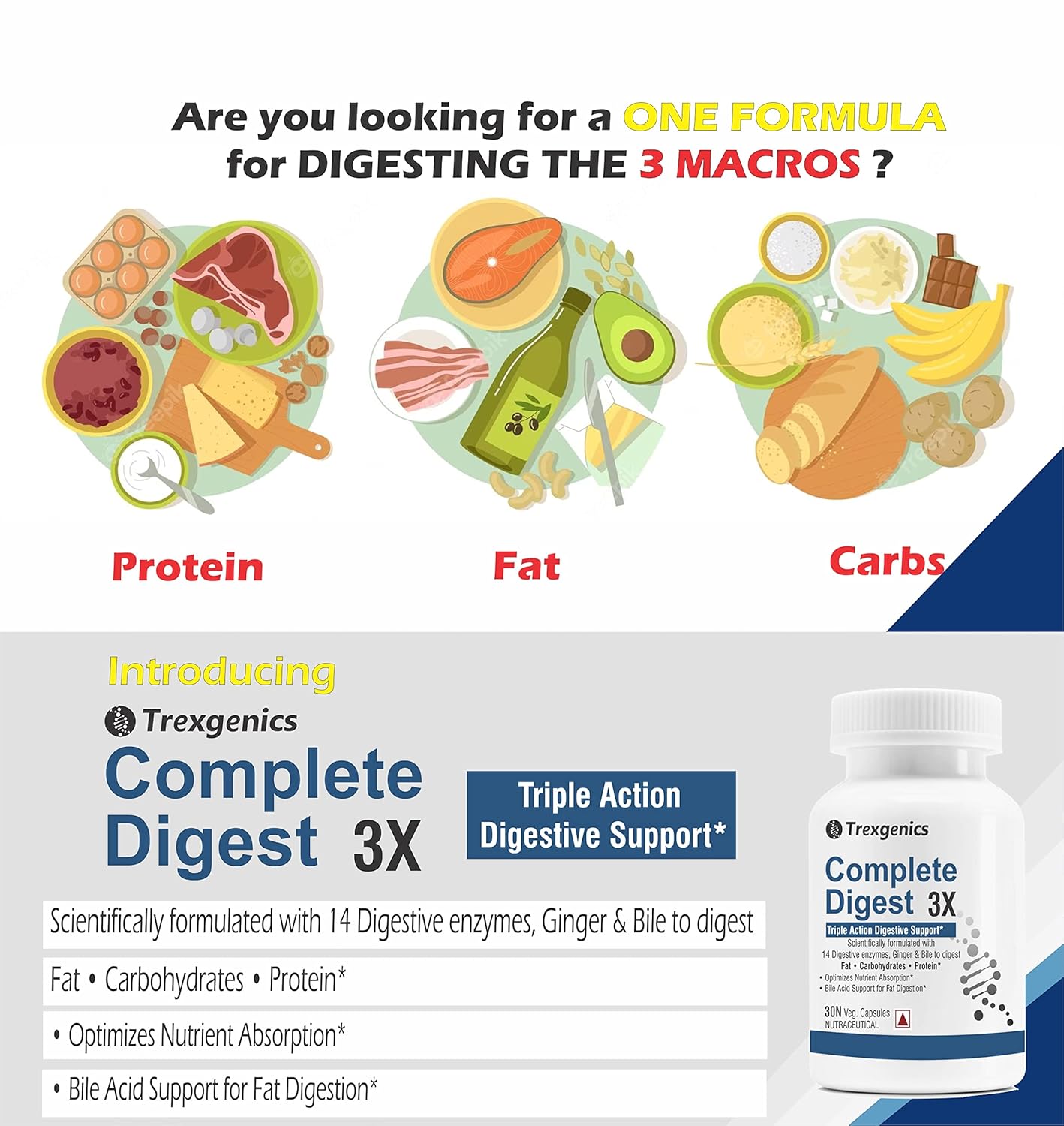 Trexgenics COMPLETE DIGEST 3X, Triple Action Digestive Support for Fat, Carbohydrates & Protein, Lactose and Fibers with 14 Enzymes, Ginger and Bile Cholic acid (30 capsules) (Pack of 1), 60 grams