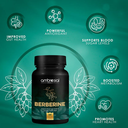 Ambrosial Berberine HCL 500mg EACH capsule |High Strength Berberine Supplements to Manage Diabetes and Blood Sugar Levels | Premium Herbal Diabetes Care Tablets (Pack of 1-60 Capsules)