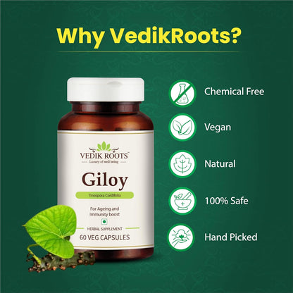 Giloy Capsules, Natural Giloy, Antioxidant Properties, Ayurvedic Supplement, Immunity Booster, Health and Wellness- 60 Capsules (Pack of 1)