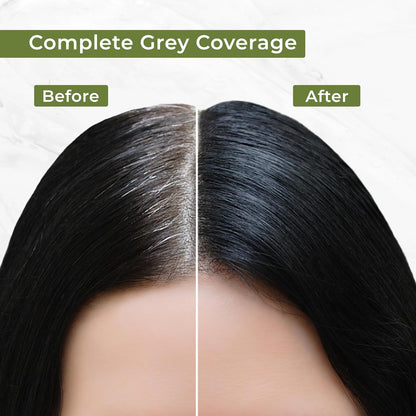 INDUS VALLEY Damage Free Natural Gel Hair Colour for Women | Ammonia & PPD Free Organic Hair Colour with 100% Grey Coverage, Long Lasting Hair Color Trial Pack (Black, 65 ml)
