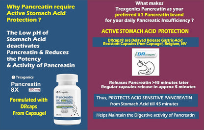 Trexgenics PANCREATIN 300 mg 8X Pharmaceutical Grade Stomach Acid Protected Protease 60000 USP, Amylase 60000 USP, 4800 USP Lipase Digestive Health Support (60 DRcaps)
