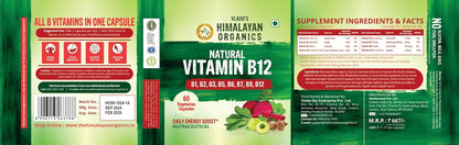 Vladoâ€™s Himalayan Organics Plant-Based Vitamin B12 with B-Complex & Moringa | Energy, Nerve & Brain Support | 60 Veg Capsules
