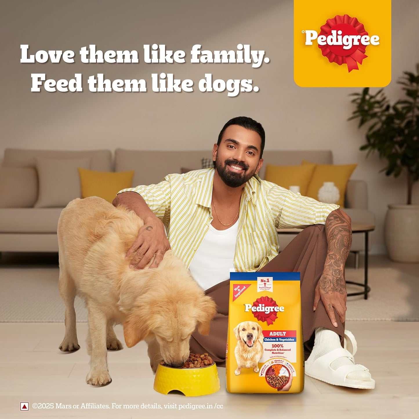 Pedigree Adult Dry Dog Food, Chicken & Vegetables, 1 kg, Contains 37 Essential Nutrients, 100% Complete & Balanced Food for Adult Dogs
